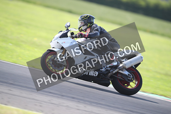 BIKES 1427