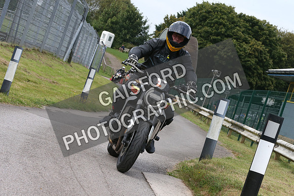 Fowlers 0208