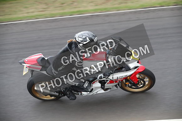 BIKES 1560