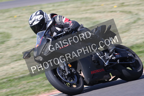 BIKES 0842