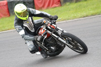 Fowlers 0788