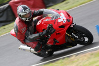 Fowlers 0470