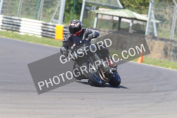 BIKES 1488