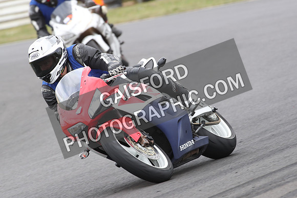 BIKES 0736