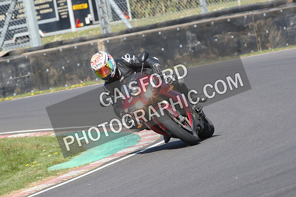 BIKES 0669