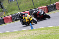 Fowlers 0466