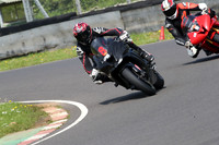 Fowlers 0490