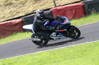 Fowlers 0455