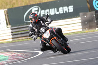 BIKES 0281
