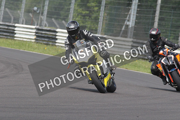BIKES 1664