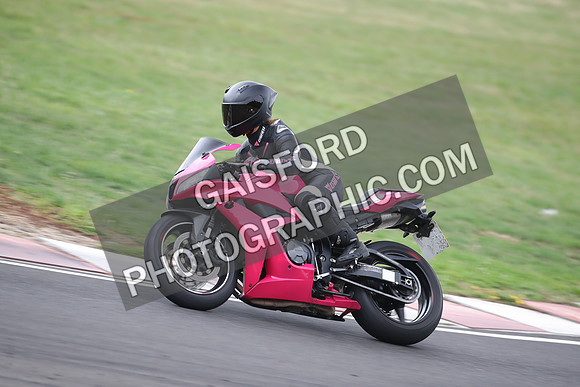 BIKES 1590