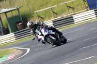 Fowlers 0468