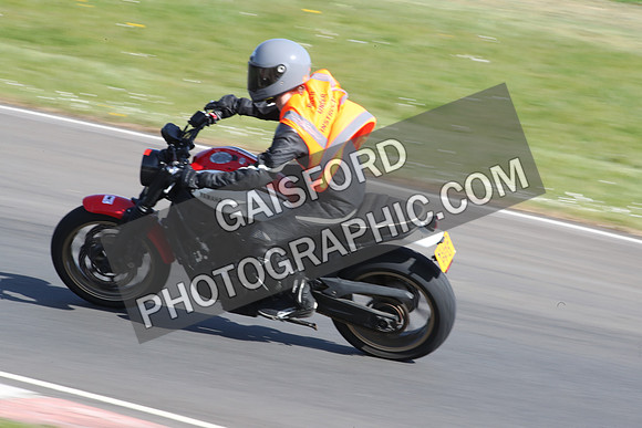 BIKES 2133