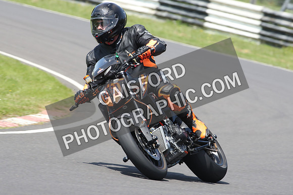 BIKES 1033