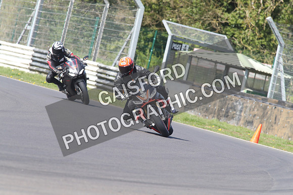 BIKES 1484