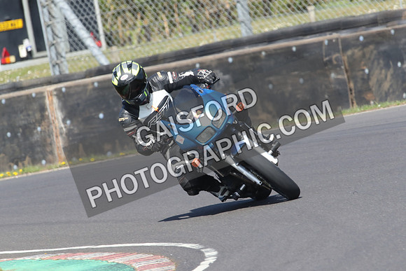 BIKES 0684