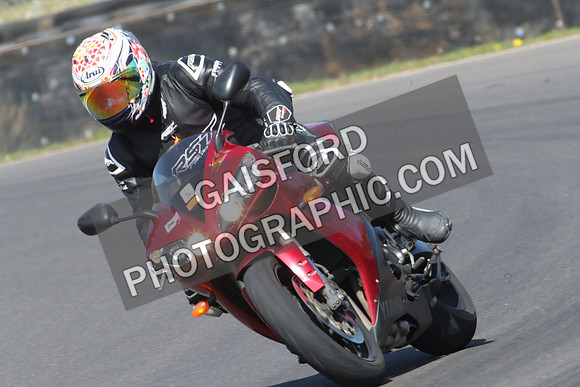 BIKES 0698