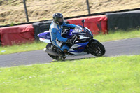 Fowlers 0453