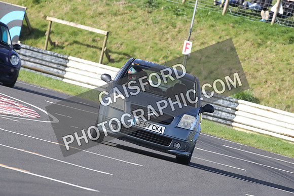 Spring Action 0004
