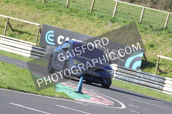 Spring Action 0012