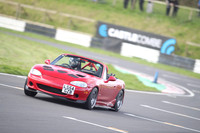 Spring Action 0108