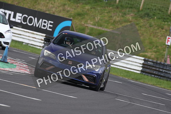 Spring Action 0447