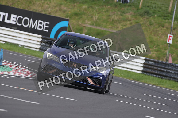 Spring Action 0466
