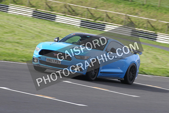 Spring Action 0556