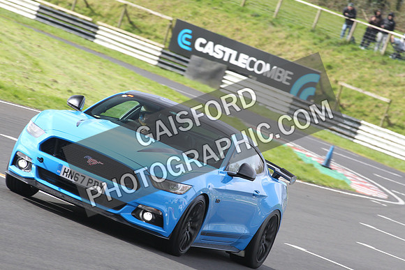 Spring Action 0583