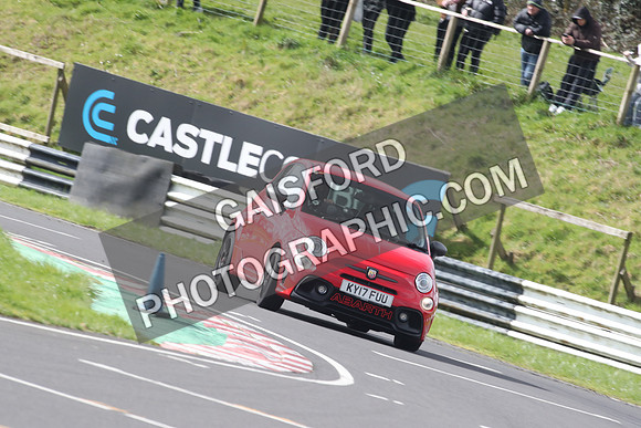 Spring Action 0786
