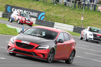 Spring Action 0889