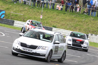 Spring Action 0891