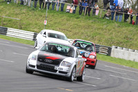 Spring Action 0893