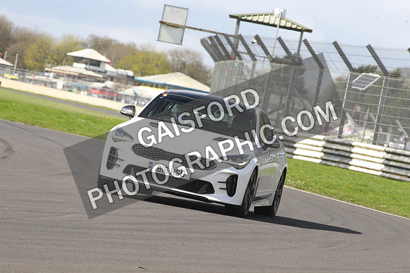 Spring Action 1203