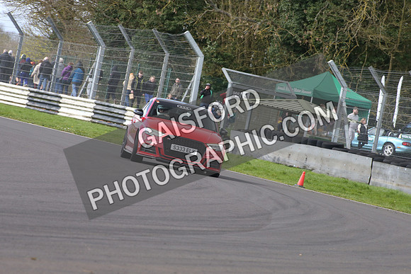 Spring Action 1354
