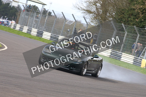 Spring Action 1371