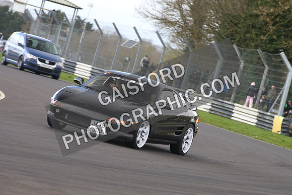 Spring Action 1379
