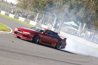 Spring Action 2189