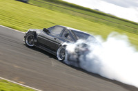 Spring Action 2199
