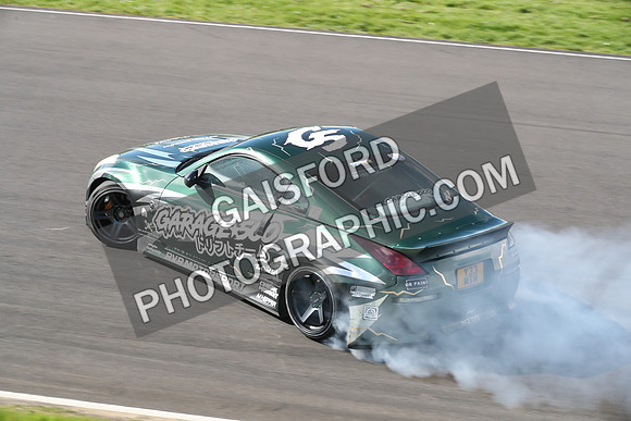 Spring Action 2203