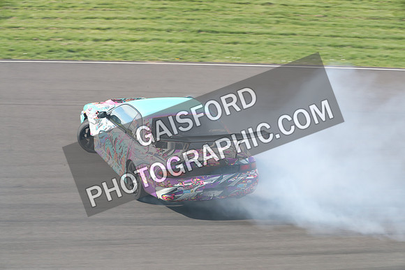 Spring Action 2206