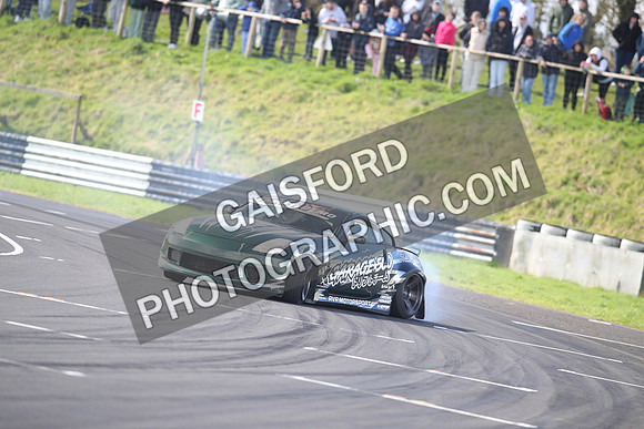 Spring Action 3916