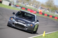 Spring Action 2227