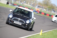 Spring Action 2229