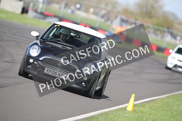 Spring Action 2229