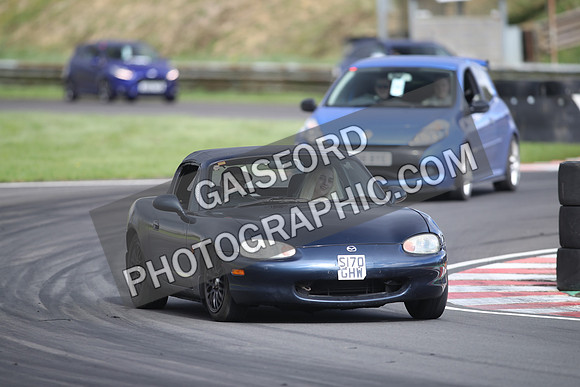 Spring Action 2458