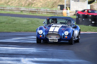 Spring Action 3083