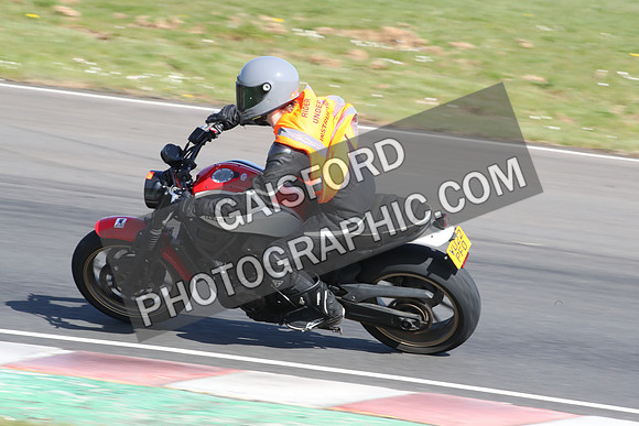 BIKES 2100