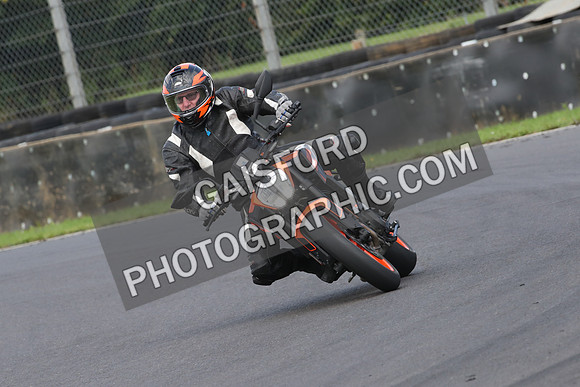 BIKES 0713