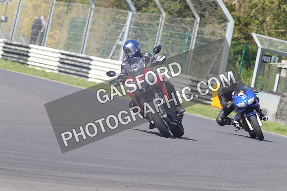 BIKES 1369